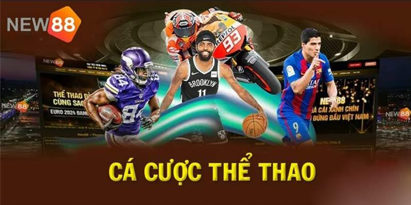 Cá cược thể thao NEW88 thu hút đông đảo người chơi